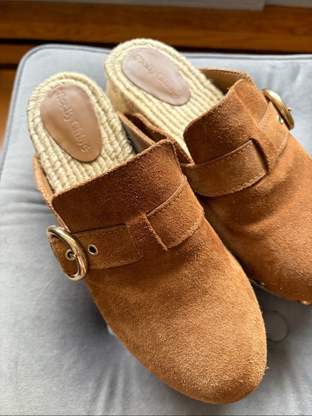 See By Chloe Tan Suede Buckle Mule Clogs